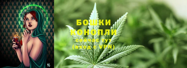 ПСИЛОЦИБИНОВЫЕ ГРИБЫ Новодвинск