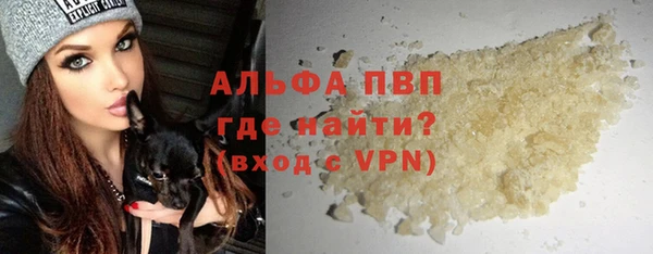 мдпв Новозыбков