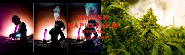 ПСИЛОЦИБИНОВЫЕ ГРИБЫ Новодвинск