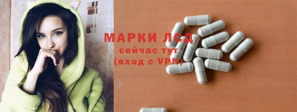 мдпв Новозыбков