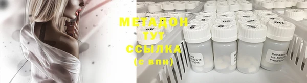 мдпв Новозыбков