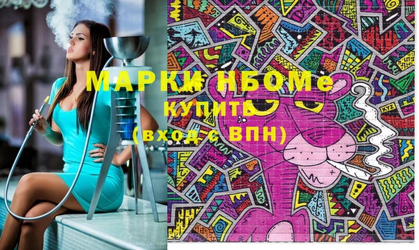 мдпв Новозыбков