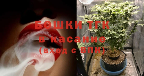 мдпв Новозыбков