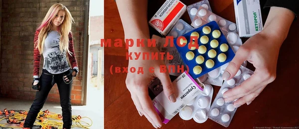 ПСИЛОЦИБИНОВЫЕ ГРИБЫ Новодвинск