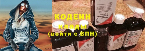 мдпв Новозыбков