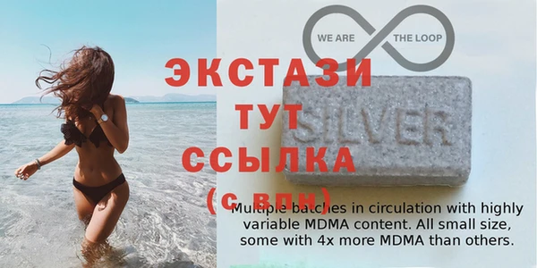 мдпв Новозыбков